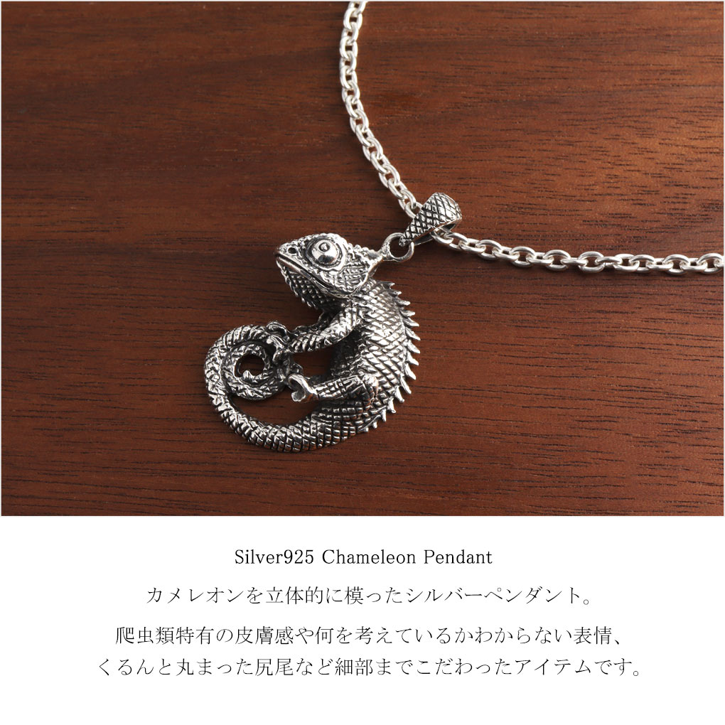 tgr-t33-chain