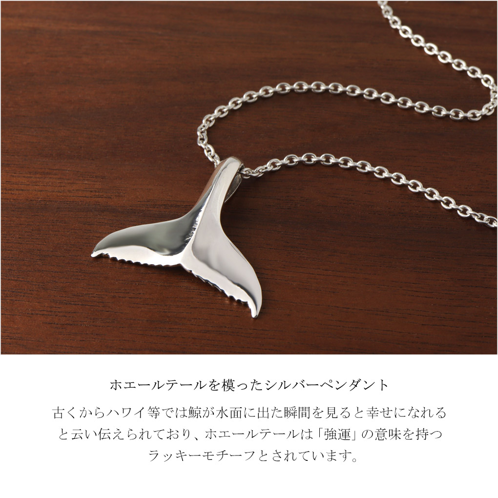tgr-t37