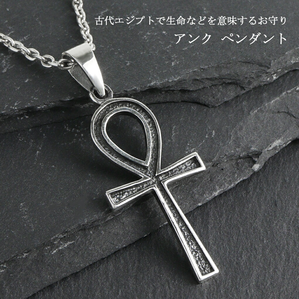 tgr-t41