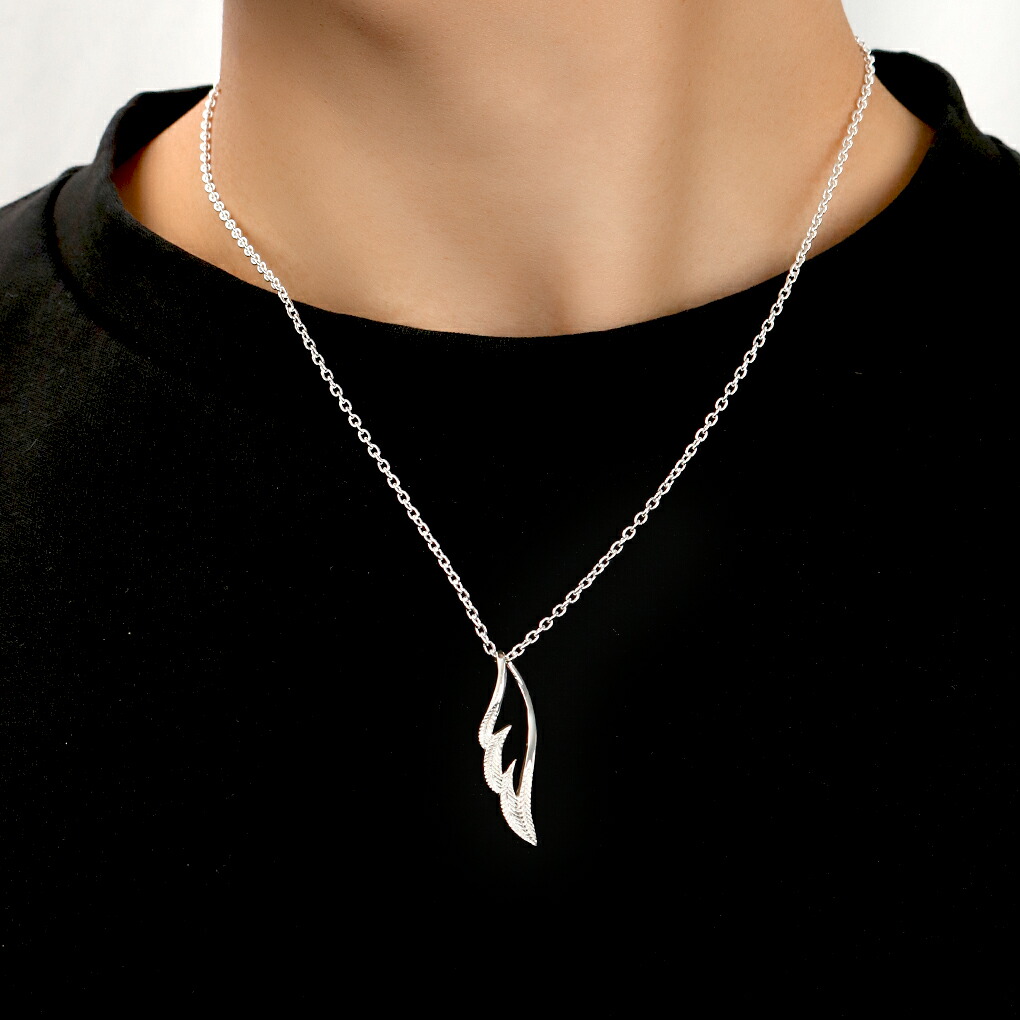 fa-t0051-p