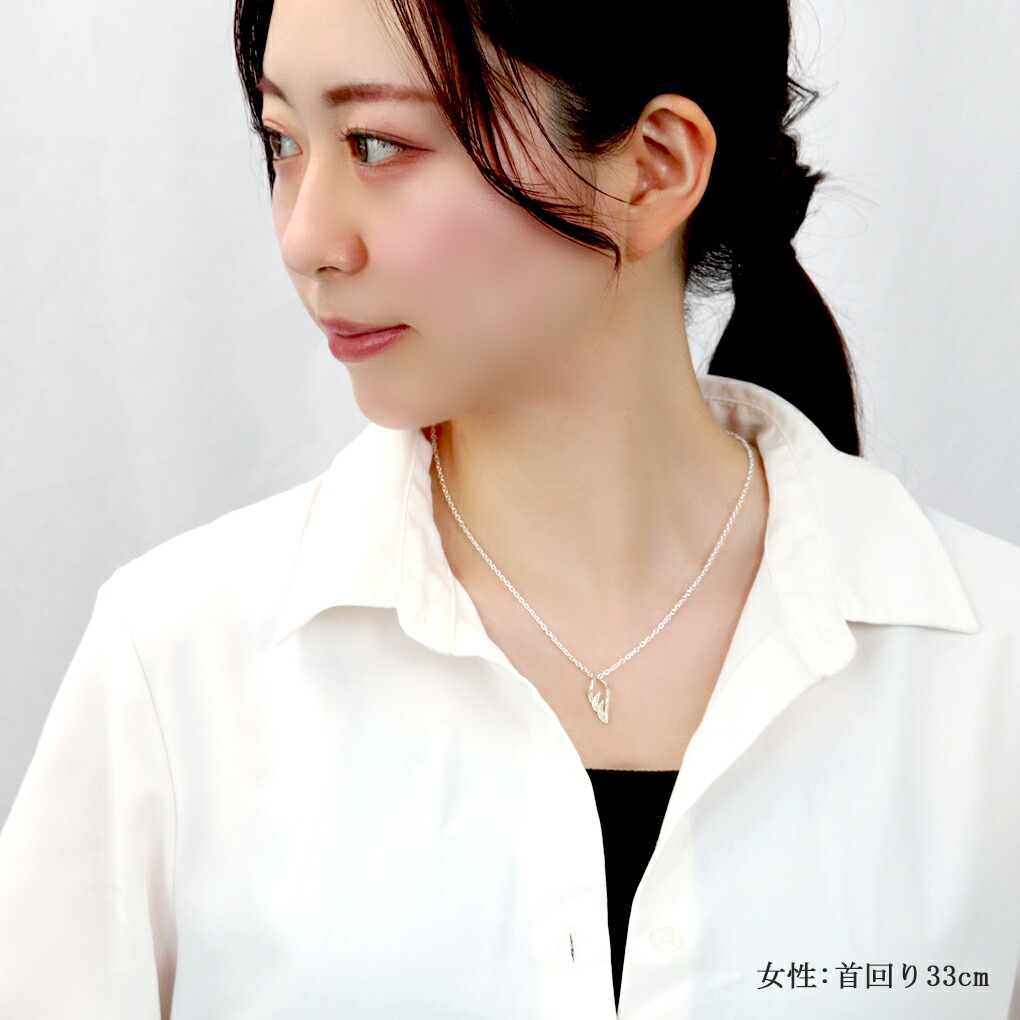 fa-t0051-p