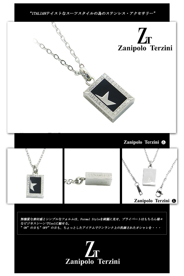 fs-ztp1307