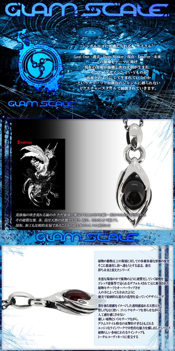 fgs-en-001gn