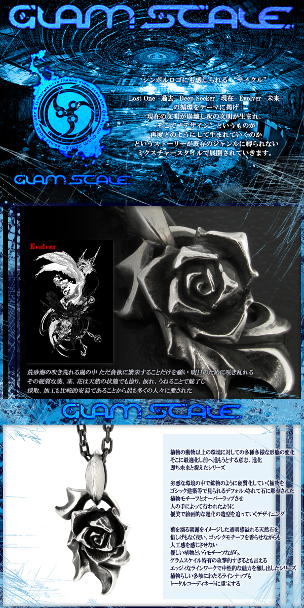 fgs-en-009