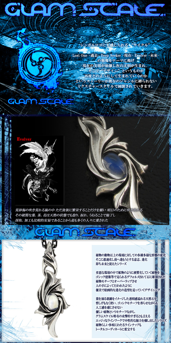 fgs-en-011rb