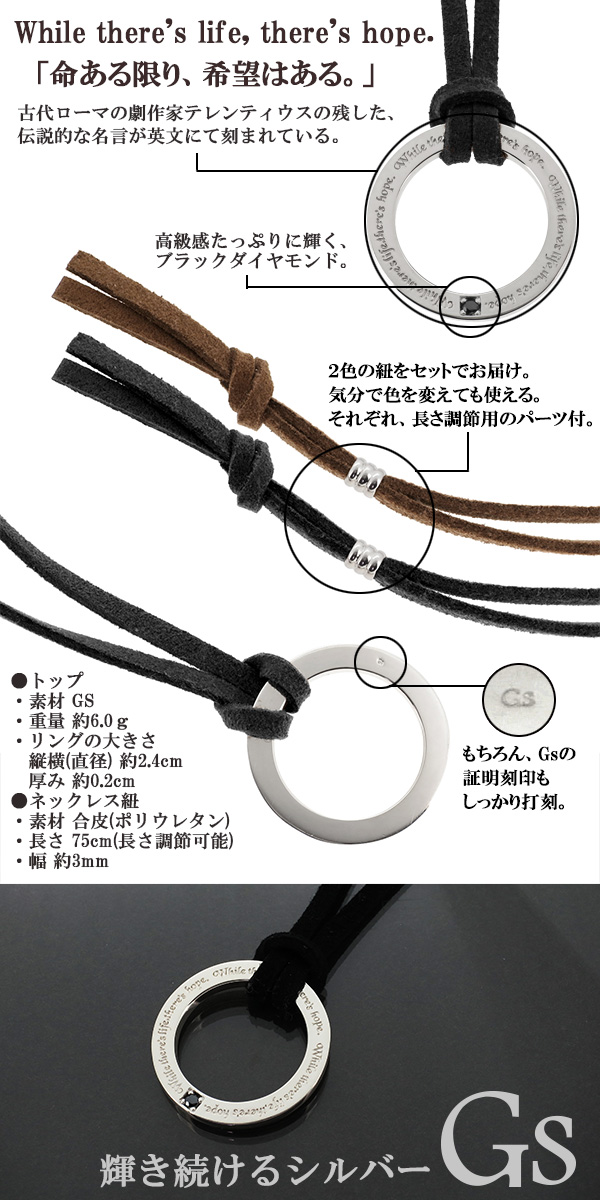gs-n002