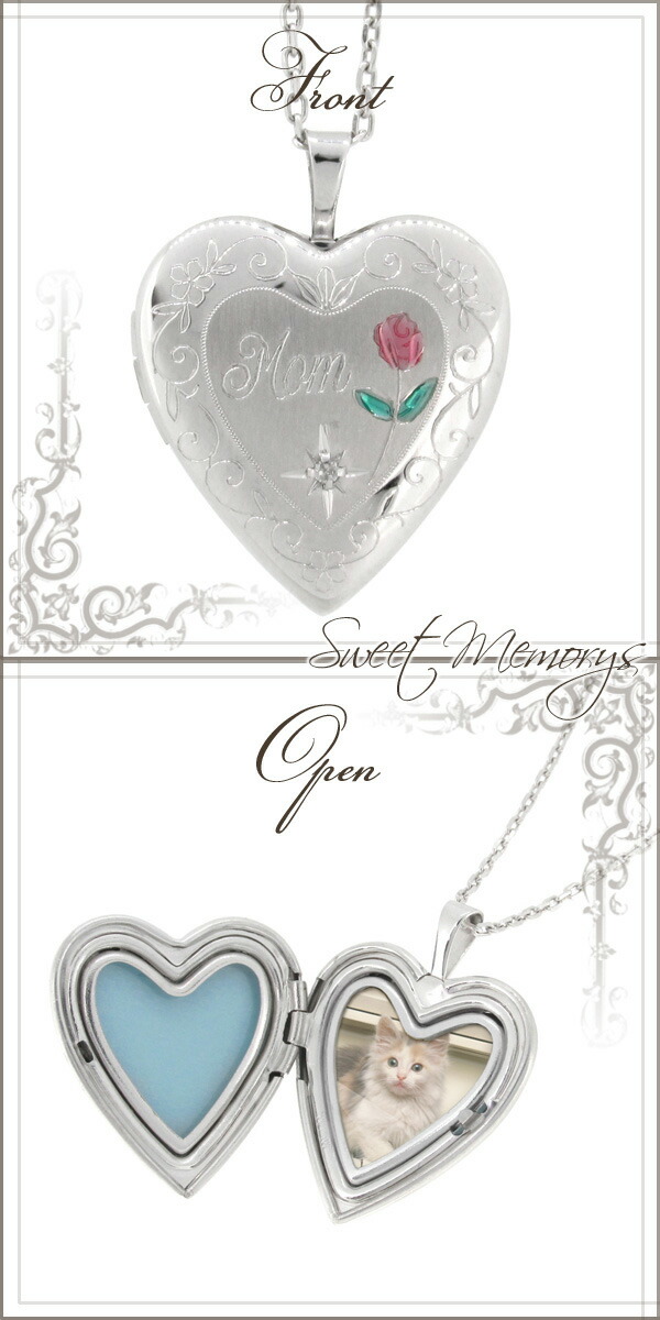 tfc-ss10609cd-chain