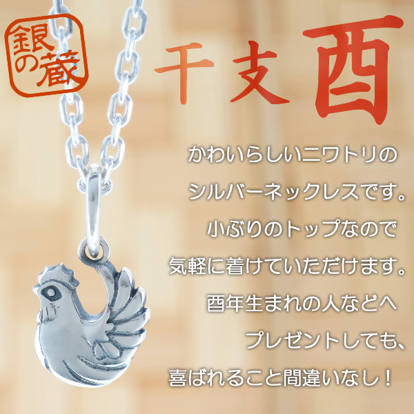 fg-kt19-chain