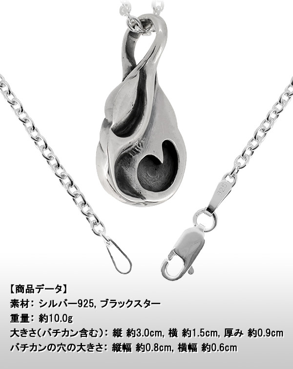 fn-t10043bs-chain