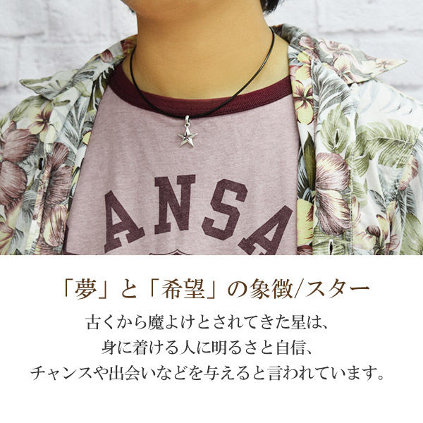 fa-t0306-fl