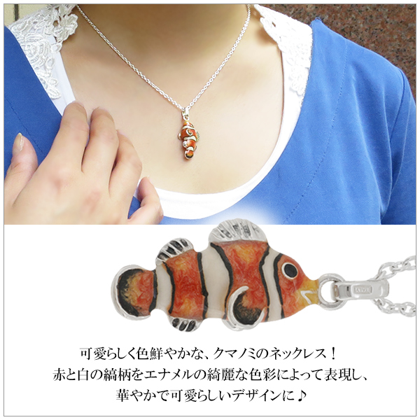 fn-cs100-chain