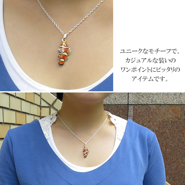 fn-cs100-chain