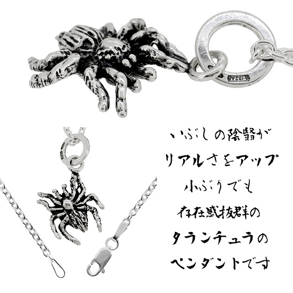 fn-t7420-chain