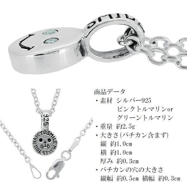 gd-v981-chain