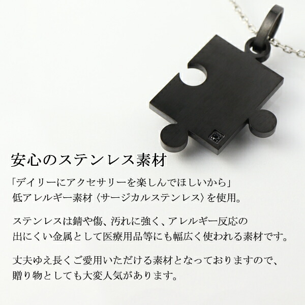 vie-n1293bk
